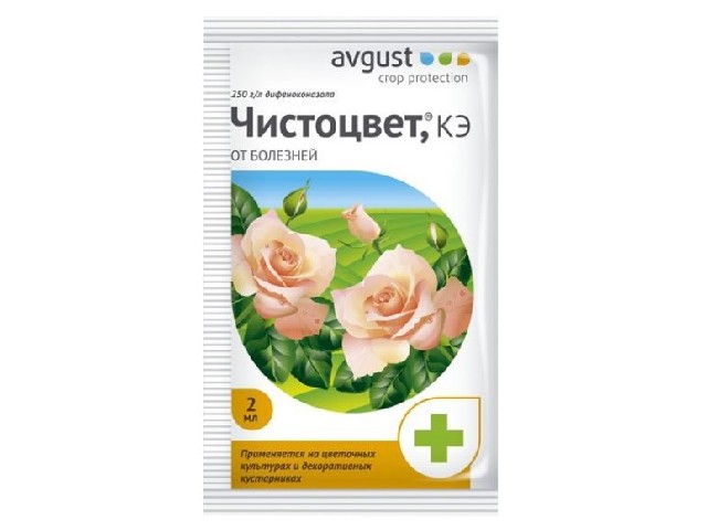 Чистоцвет от болезней